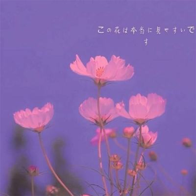 天天足球内购破解版下载