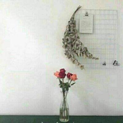 张卫健九品小知县满v版下载